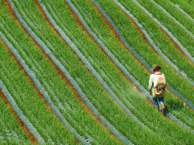 roundup