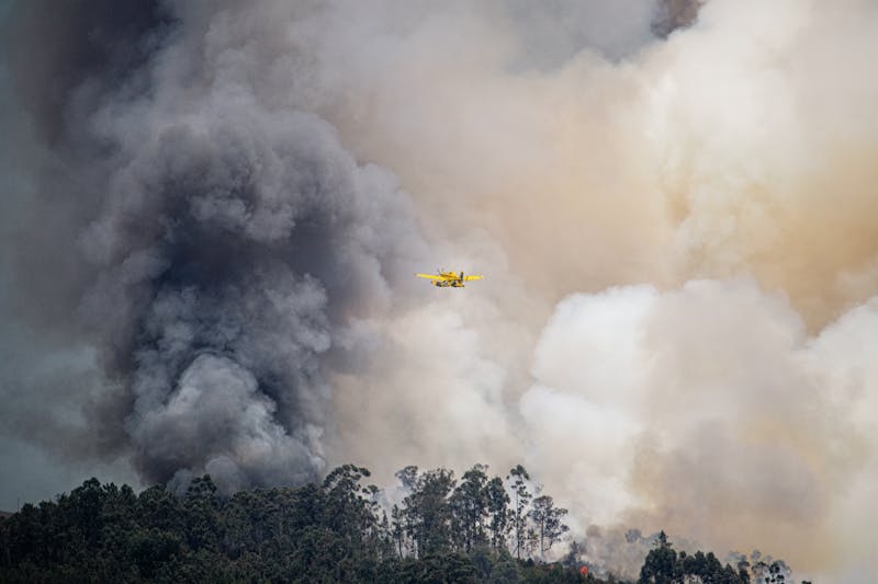 wildfire litigation